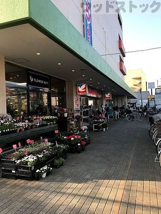 イトーヨーカドー 東村山店 徒歩11分。 820m