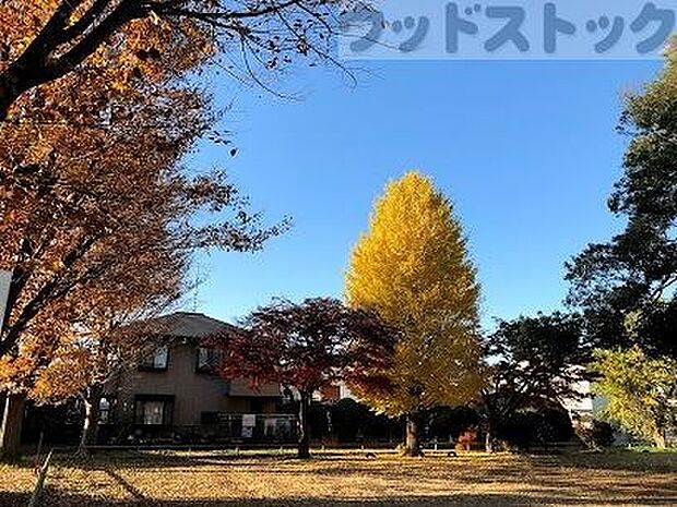 ひまわり公園 徒歩8分。 580m