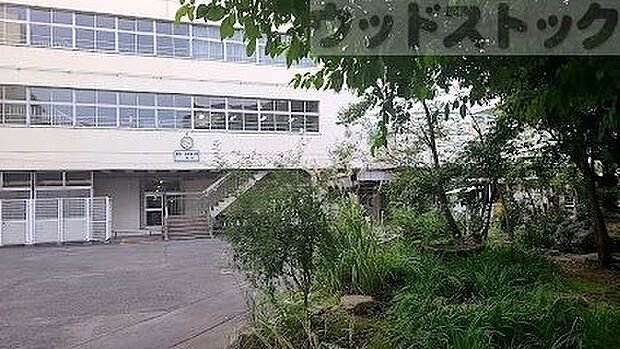 武蔵野市立境南小学校 徒歩18分。 1430m