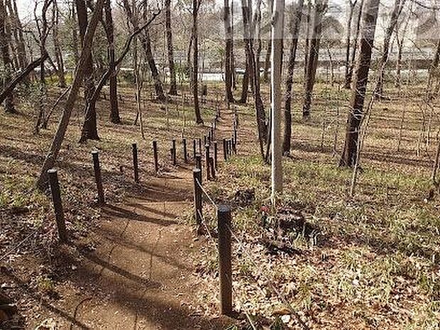 清瀬中里緑地保全地域(A地区) 徒歩5分。 400m