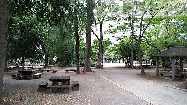 周辺を拡大表示