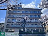 東京都府中市是政1丁目：物件画像／株式会社タウンハウジング東京　分倍河原店