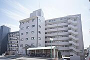 いよ立花駅より徒歩15分 8階 築31年5ヶ月の賃貸物件