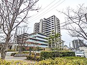 勝山町駅より徒歩5分 6階 築11年6ヶ月の賃貸物件