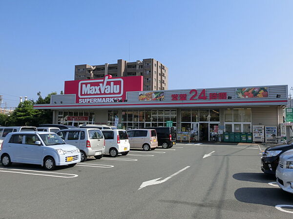 画像25:マックスバリュ浜松助信店（625m）