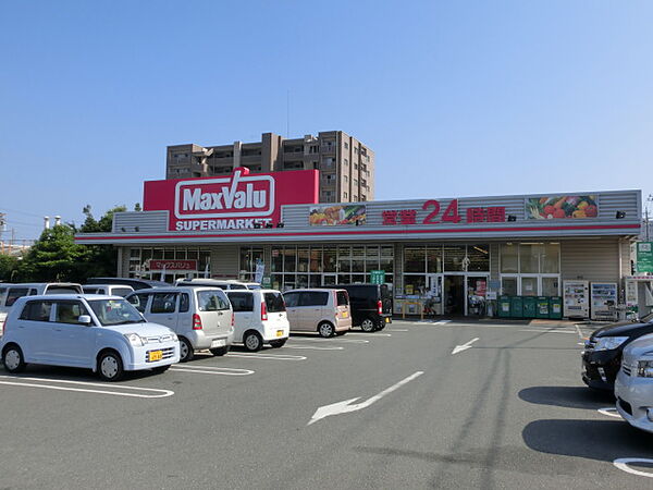 画像18:マックスバリュ 浜松助信店（707m）