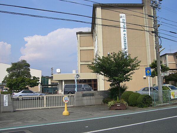画像19:浜松市立瑞穂小学校（217m）