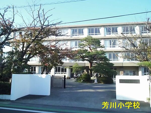 画像17:浜松市立芳川小学校（642m）