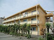  3階 築37年1ヶ月の賃貸物件