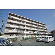 諏訪ハイツ 5階 築43年7ヶ月の賃貸物件