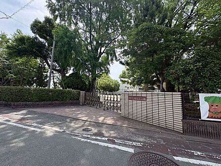 向山小学校 550m