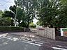 周辺：向山小学校 550m