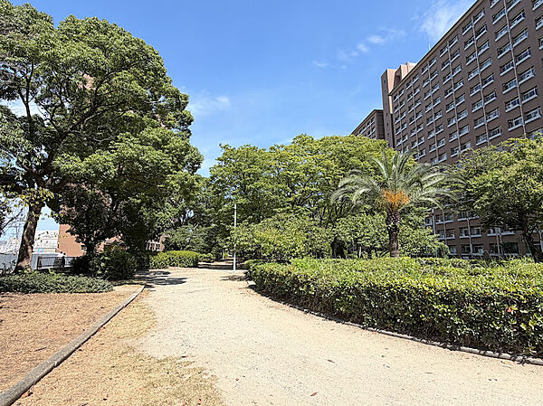 敷地内には緑が広がっています。