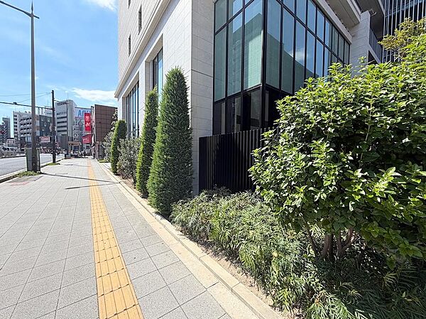 植栽がきちんとお手入れされています