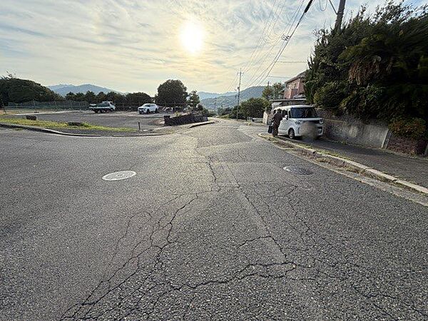 前面道路約10m