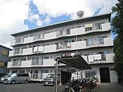 グラッド・パーク 4階 築44年3ヶ月の賃貸物件