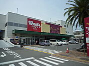 ドラックストア「ウォンツ江波店まで1042ｍ」