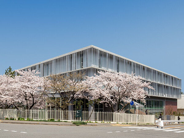 私立新潟青陵大学（494m）