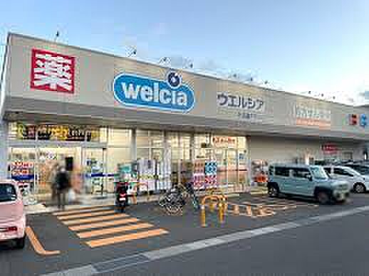 ウエルシア 新潟東中野山店(427m)