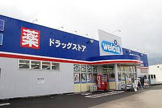 ウエルシア 新潟新和店（660m）