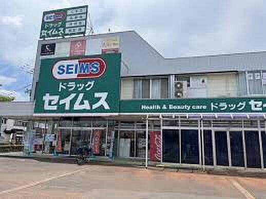ドラッグセイムス 中山店（603m）
