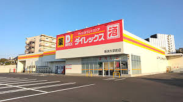 ダイレックス 新潟大学前店（393m）