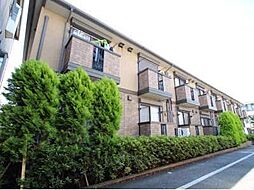 グレイスコート