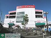 ロヂャース 徒歩8分。その他小売店 580m