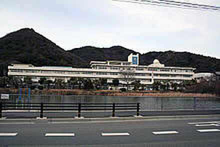 画像29:東洋大姫路高校
