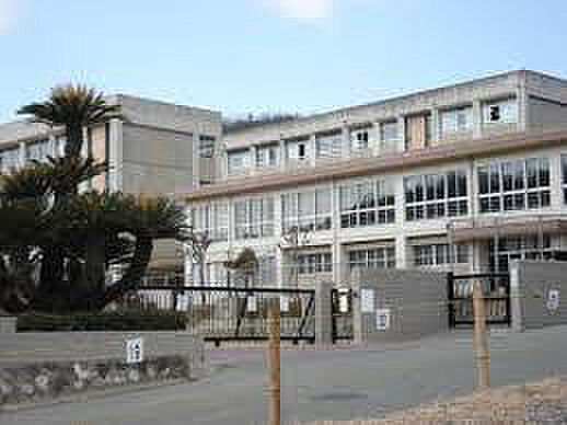 画像26:青山小学校