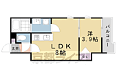 京都市北区等持院南町 3階建 新築のイメージ