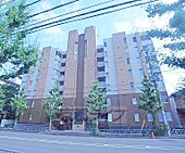 京都市右京区嵯峨新宮町 8階建 築49年のイメージ