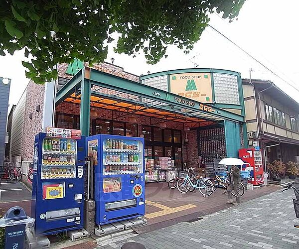 画像15:エムジー 上堀川店まで420m 新鮮な食材を揃えたいならここ。