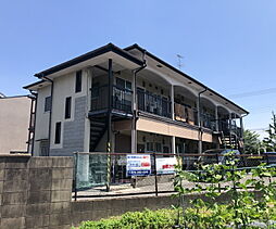 3 / 19