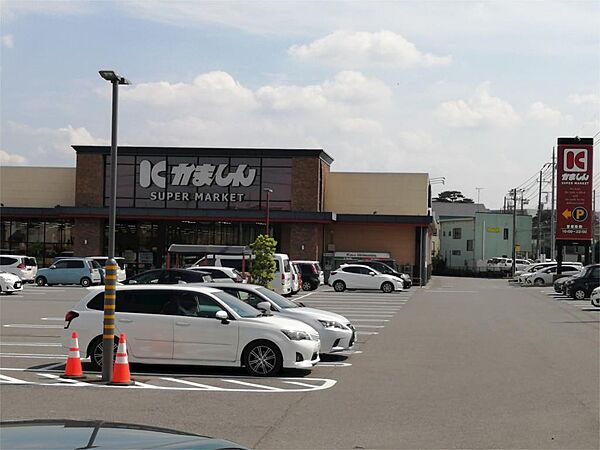 画像14:かましん 平松本町店（471m）