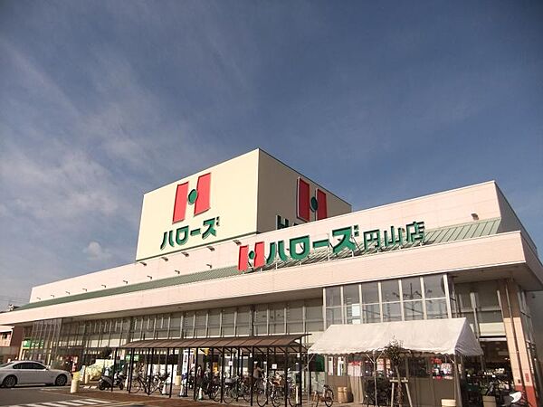 ハローズ 円山店（917m）
