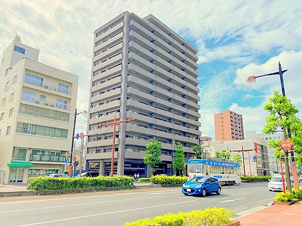 外観：333000051662