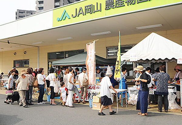 JA岡山 はなやか中央店（268m）
