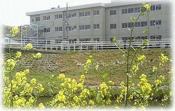 岡山市立横井小学校（1496m）