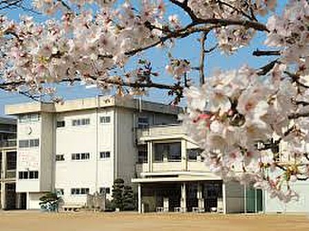 岡山市立宇野小学校(1410m)