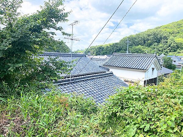 その他画像