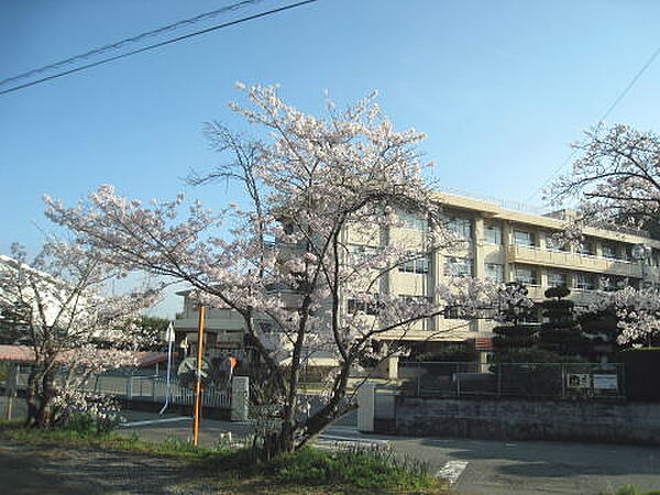 岡山市立上道中学校（719m）
