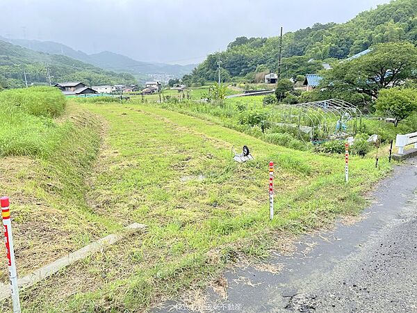 田