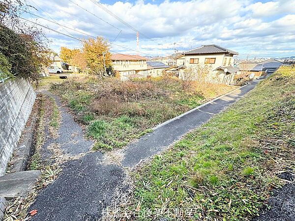 南側と西側の接道。ともに農道。