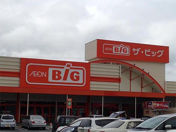 The Big（ザ・ビッグ） 岡山一宮店（519m）