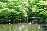 周辺：大田黒公園★（639m）