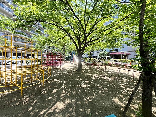 前面には公園があり木陰でお子様の成長も守ることが可能です。