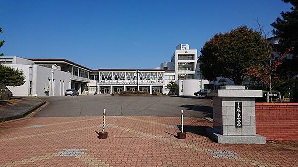 藤ノ木中学校 1100m