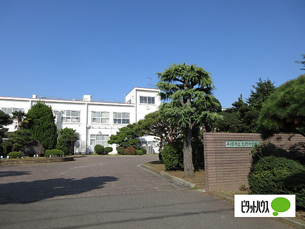 画像15:中学校「平塚市立大野中学校まで888m」