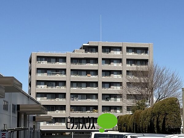 外観：313004615245